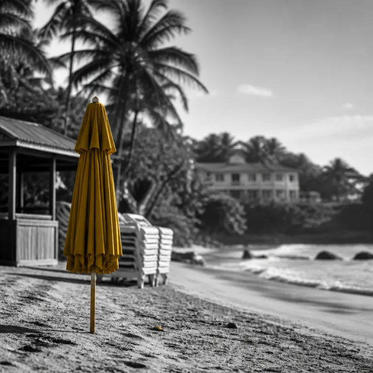Peak Summer in Tobago: the Crowd Calendar, the Quiet Beaches and the Rates Nobody Posts Online