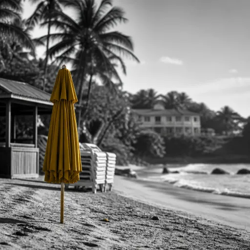 Peak Summer in Tobago: the Crowd Calendar, the Quiet Beaches and the Rates Nobody Posts Online
